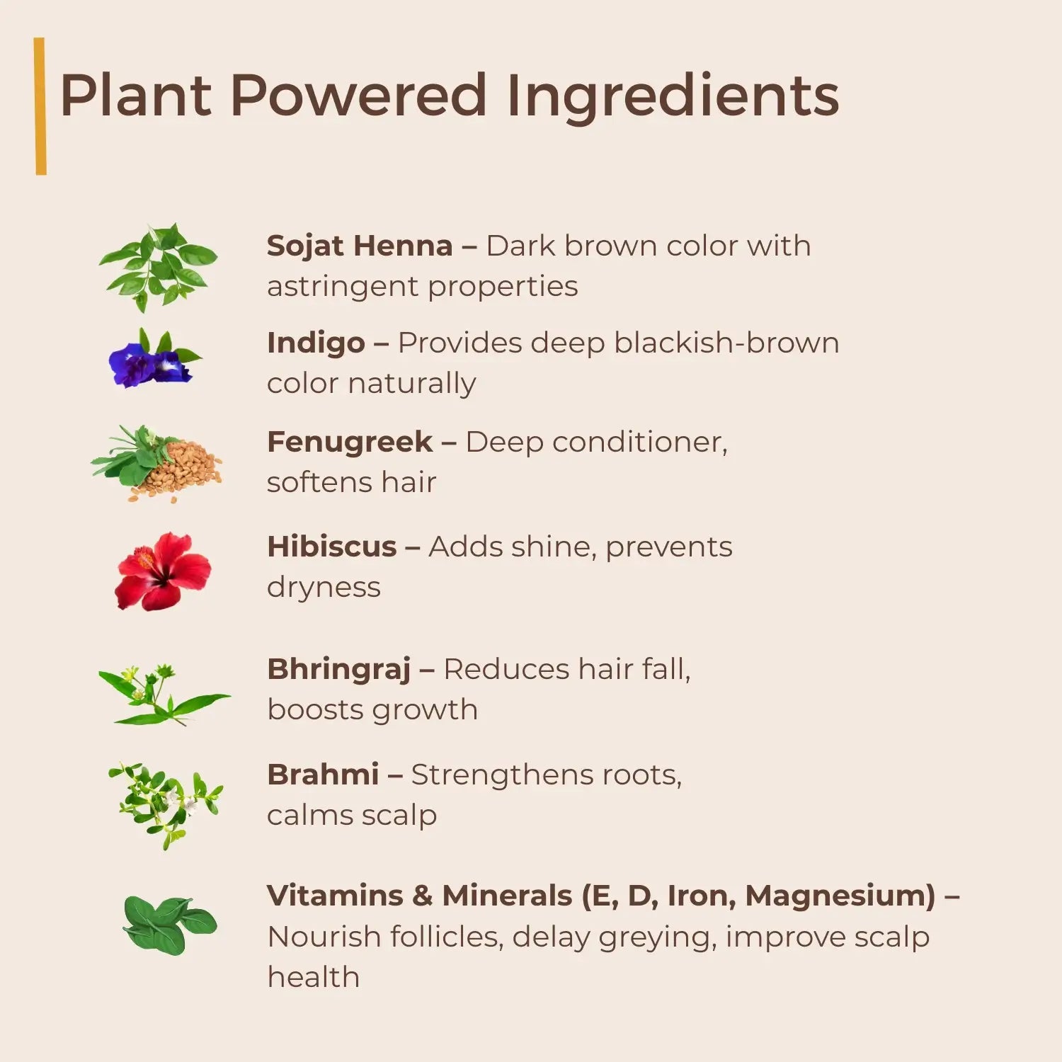 Hair Colour Kit - Herbal Hair Dye with Premium grade ingredients for Long Lasting Black Color